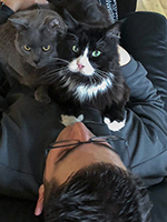 Tennessee und Casanova