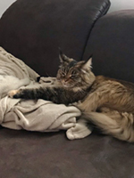 Brasilia und Yasmine