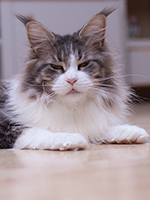 Campari 2 Jahre 2 Monate