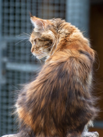 Tiffany 1 Jahr 6 Monate Profil