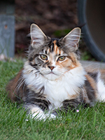 Violetta 1 Jahr 7 Monate