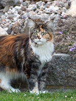 Violetta 2 Jahre 2 Monate