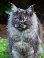 Yason 1 Jahr 1 Monat